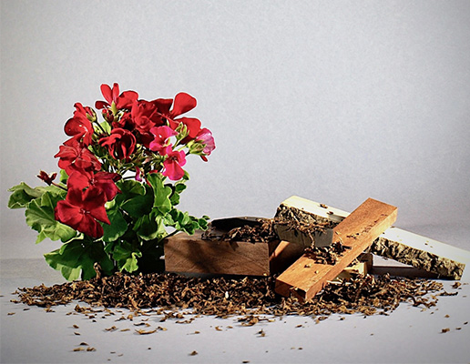 Jeeves-note-di-cuore di Lorenzi Parfum Gerani, legni invecchiati, muschio di quercia, tabacco