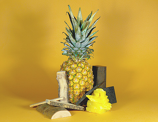 Note di cuore di Argo di Lorenzini Parfum Legno di cedro, ebano, ananas